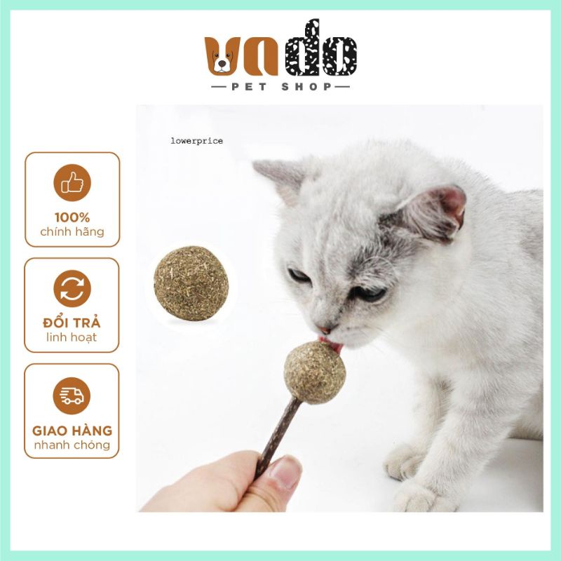 Kẹo que catnip cho mèo - Que catnip cho mèo giảm stress