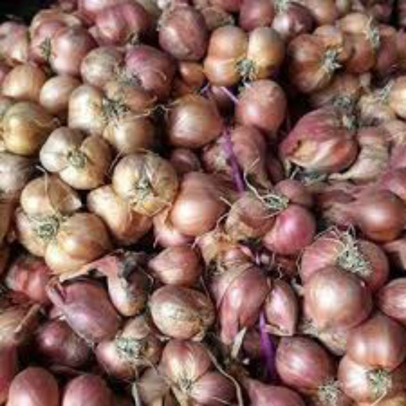 Hành tím, hành ta Thái Bình 1kg