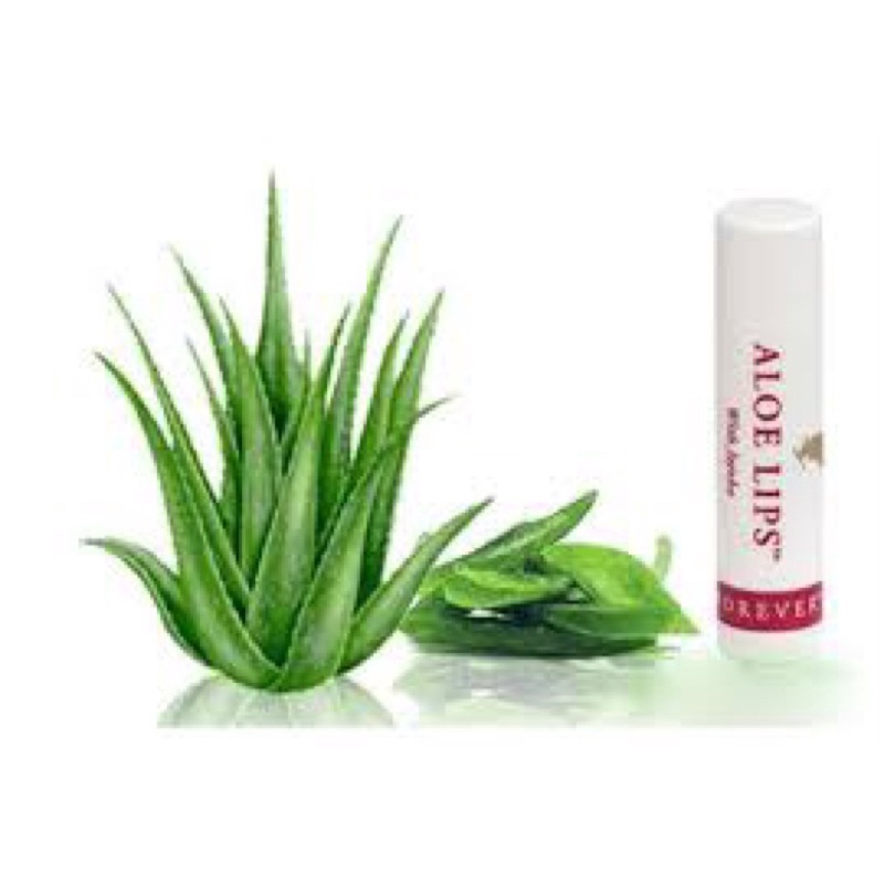 Son dưỡng môi Aloe lips