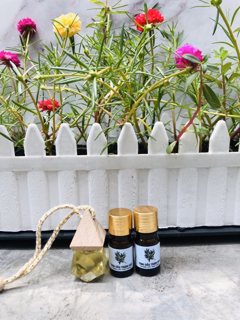 TINH DẦU TRÀM GOLD • MẸ VUI, BÉ KHOẺ | Mamy Gold