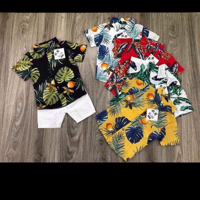 Combo 4ri áo đũi mềm mịn