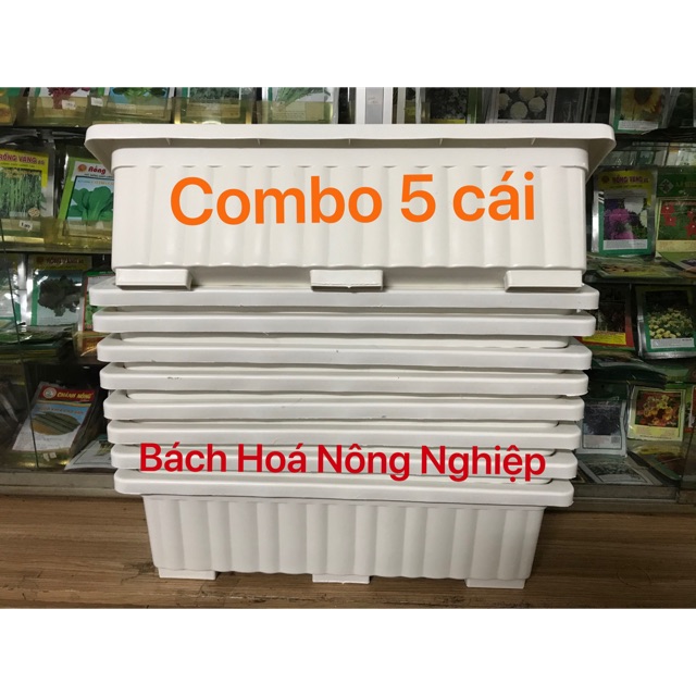 Combo 5 khay trồng rau thông minh ( now + grab )