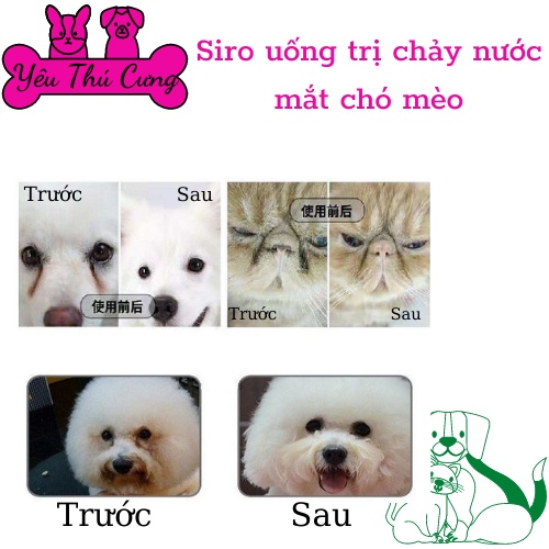 Siro uống chống chảy nước mắt chó mèo EYE - Điều tiết tuyến lệ-YÊU THÚ CƯNG