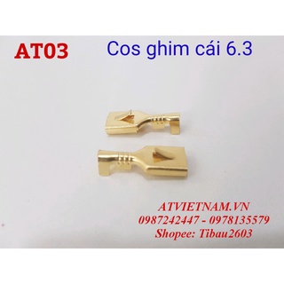 Cos Cái Ghim 6.3 - AT03 ( 1 bịch/50 cái)