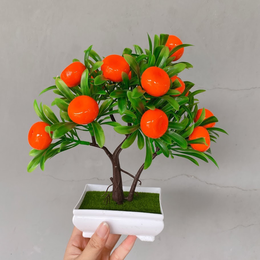 (Kèm chậu) Cây quýt, quất, lựu, ớt, nấm, dâu tây, cherry  - BONSAI các loại QUẢ RỰC RỠ - Chậu cây giả trang trí, đề bàn