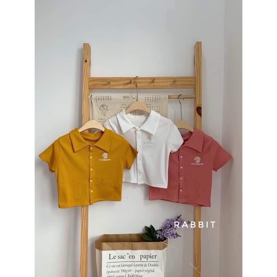 Áo croptop cổ bẻ thêu cúc họa mi siêu hot