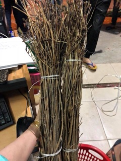 Hoa đỗ quyên