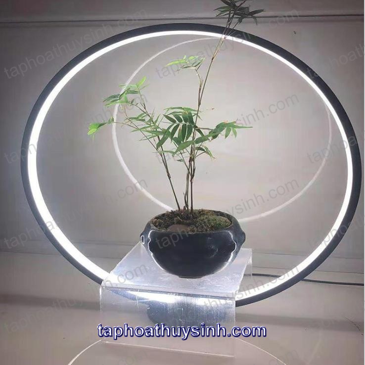 KỆ ĐÈN LED TRÒN TRANG TRÍ ĐỂ BÀN TIỂU CẢNH BỂ CÁ MINI , BON SAI MINI