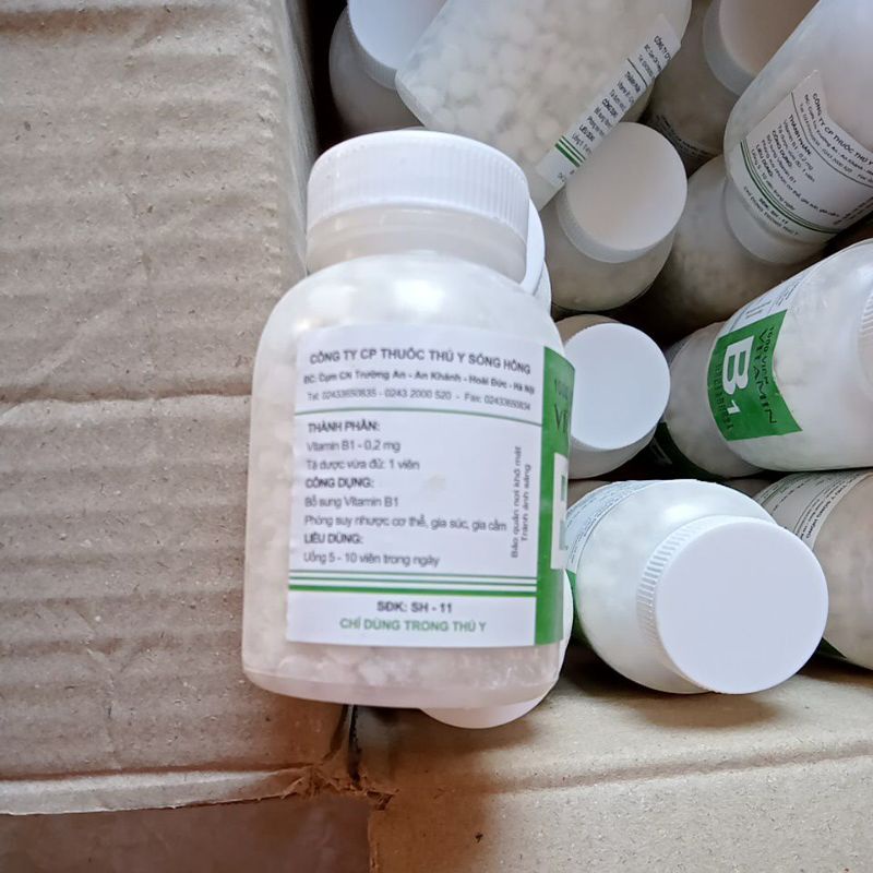 [Mã PET50K giảm Giảm 10% - Tối đa 50K đơn từ 250K] Vitamin B1- giúp gia cầm, gia súc hay ăn chóng lớn, tiêu hoá tốt