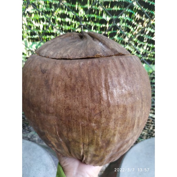giỏ đựng ấm trà từ dừa