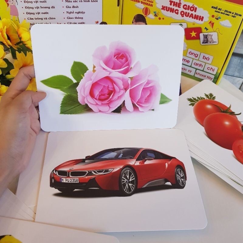 THẺ HỌC THÔNG MINH KT 15x21cm 100 THẺ 14 CHỦ ĐỀ