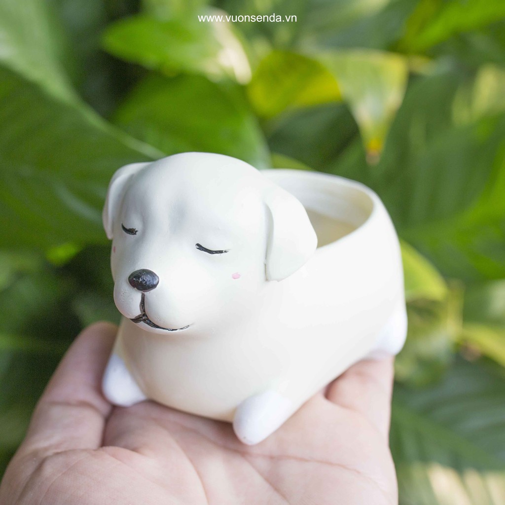 Chậu chó nâu (nhựa cứng) - Vườn sen đá