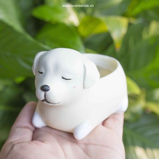 Chậu chó nâu (nhựa cứng) - Vườn sen đá