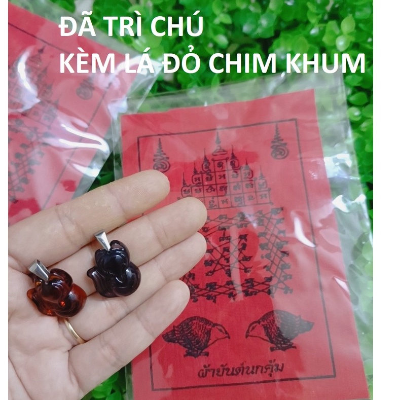 1 MẶT HỒ LY PHONG THUỶ MAY MẮN THÁI LAN KÈM LÁ ĐỎ PHONG THỦY THÁI LAN