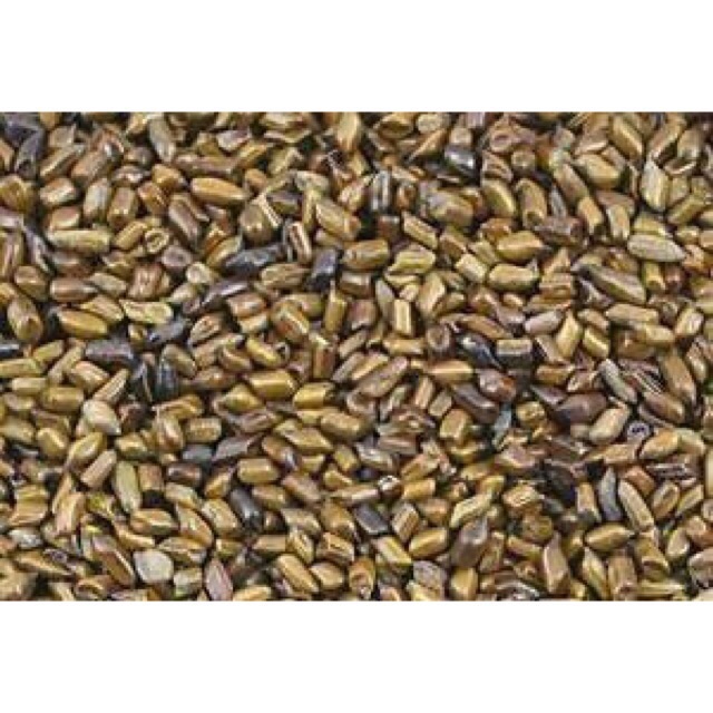Sỉ hạt muồng muồng giá rẻ (combo 11kg)
