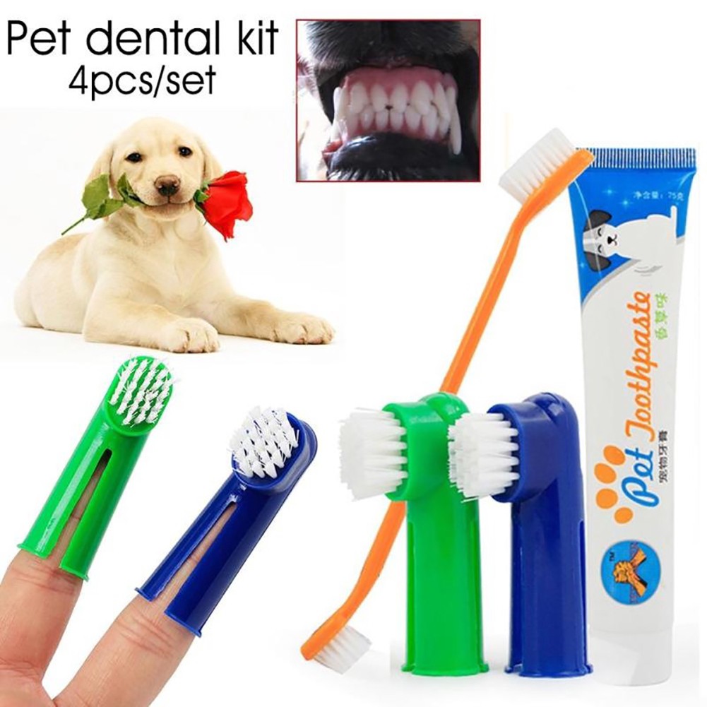 Bộ dụng cụ vệ sinh răng miệng cho thú cưng