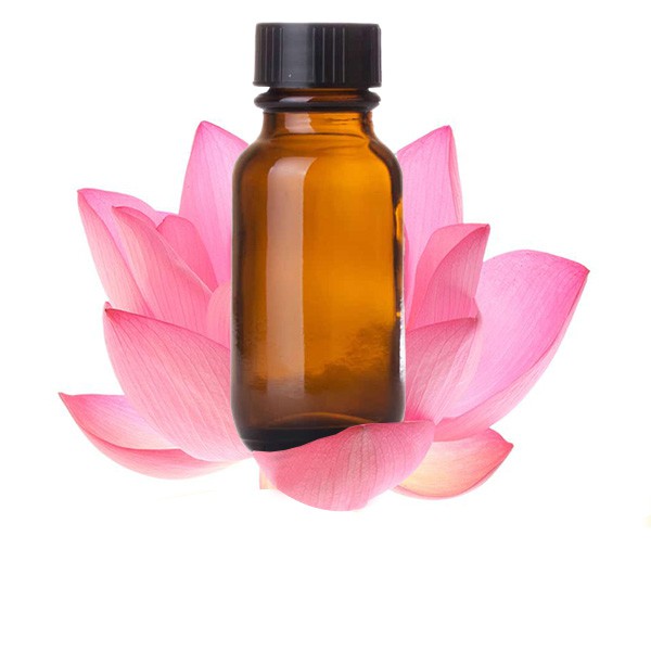 Tinh dầu hoa sen nguyên chất ( Lotus Essential Oil ) GUTY Lọ 100ml