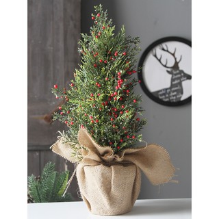 Mô hình cây thông Mini trang trí nhà cửa