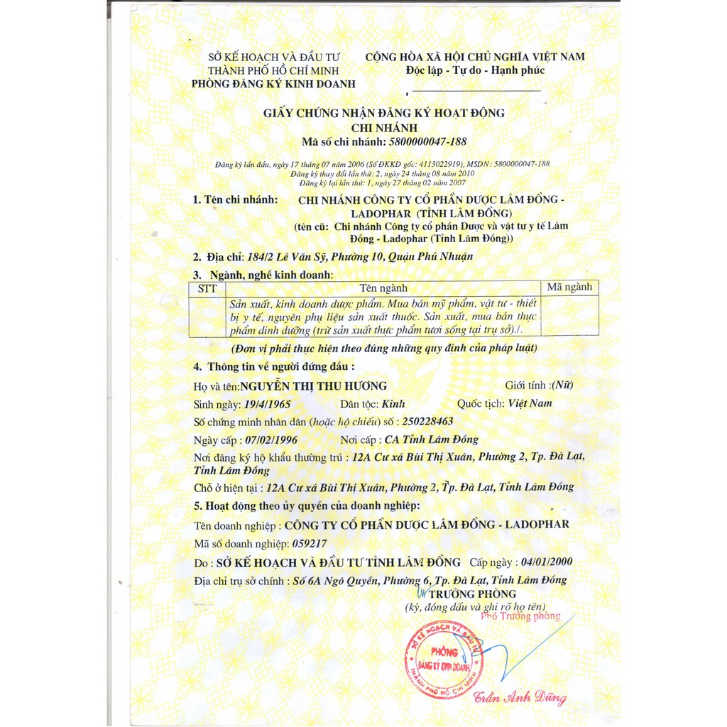 1 GÓI Trà Atiso túi lọc Ladophar 100 túi Trà -  Actiso Đà Lạt, món quà sức khỏe từ thiên nhiên | BigBuy360 - bigbuy360.vn