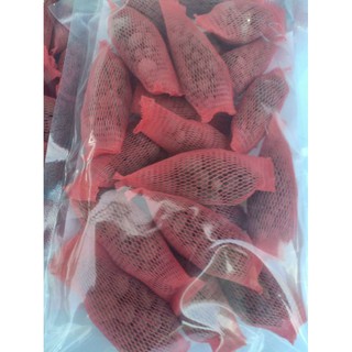 Phân hữu cơ CHUYÊN cho hoa lan