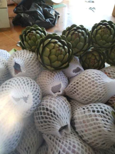 [FREESHIP] 1kg Bông atiso TƯƠI Đà Lạt | BigBuy360 - bigbuy360.vn