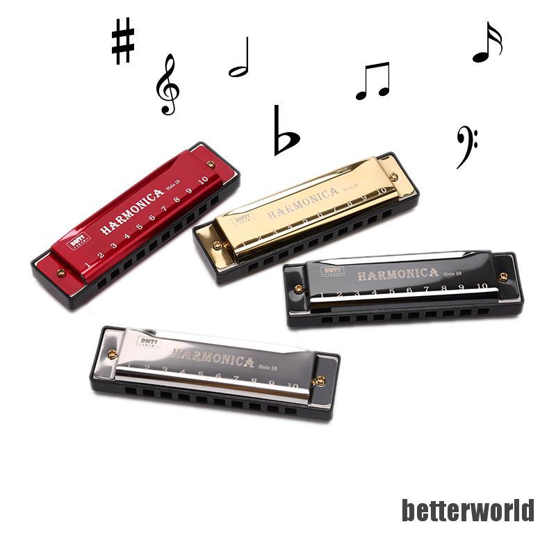 Kèn Harmonica 10 Lỗ Cho Người Mới Bắt Đầu Học