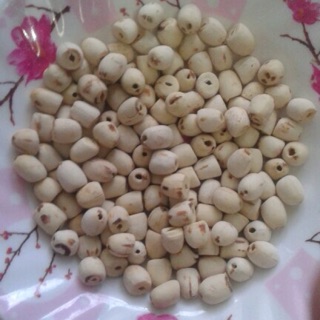 deal 50% 1kg hạt sen Nam loại 1, sen khô