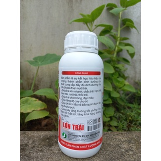 LỚN TRÁI ỚT - Phân bón lá- CHAI 500ML