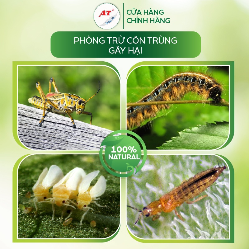 Chế phẩm tiêu diệt sâu sinh học côn trùng, nhện đỏ, bọ trĩ, sâu ăn lá, sâu xanh, ruồi vàng Mebe Laqua đậm đặc 100ml