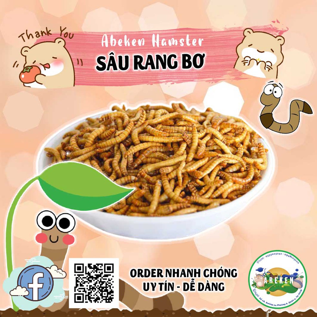 Sâu rang bơ cho Hamster/ Nhím/ Sóc