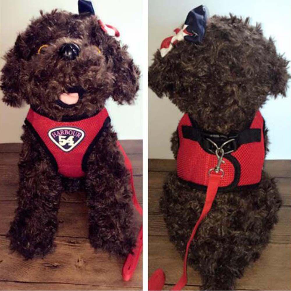 Áo Sát Nách Lưới Mềm Phản Quang Gắn Dây Dắt Thú Cưng Đi Dạo