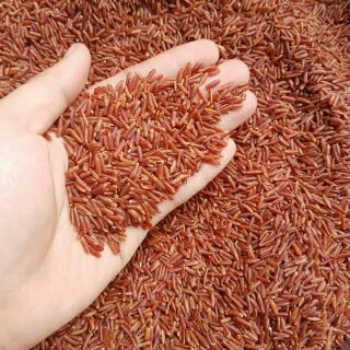 1kg gạo lứt đỏ huyết rồng