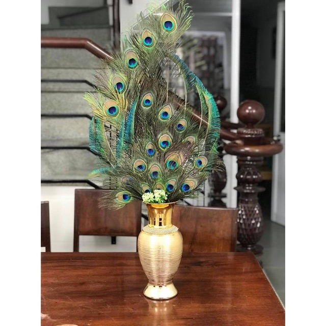 Combo 39 lông công 95-100cm mắt đại | BigBuy360 - bigbuy360.vn