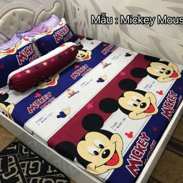 Combo 2 bộ ga gối cotton poly