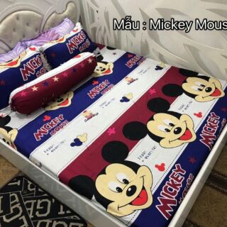 Combo 2 bộ ga gối cotton poly