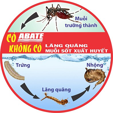 thuốc diệt lăng quăng bọ gậy trong cống rãnh ao nước đọng Abate 1SG - BASF Đức 100g - dạng rải tiện dụng