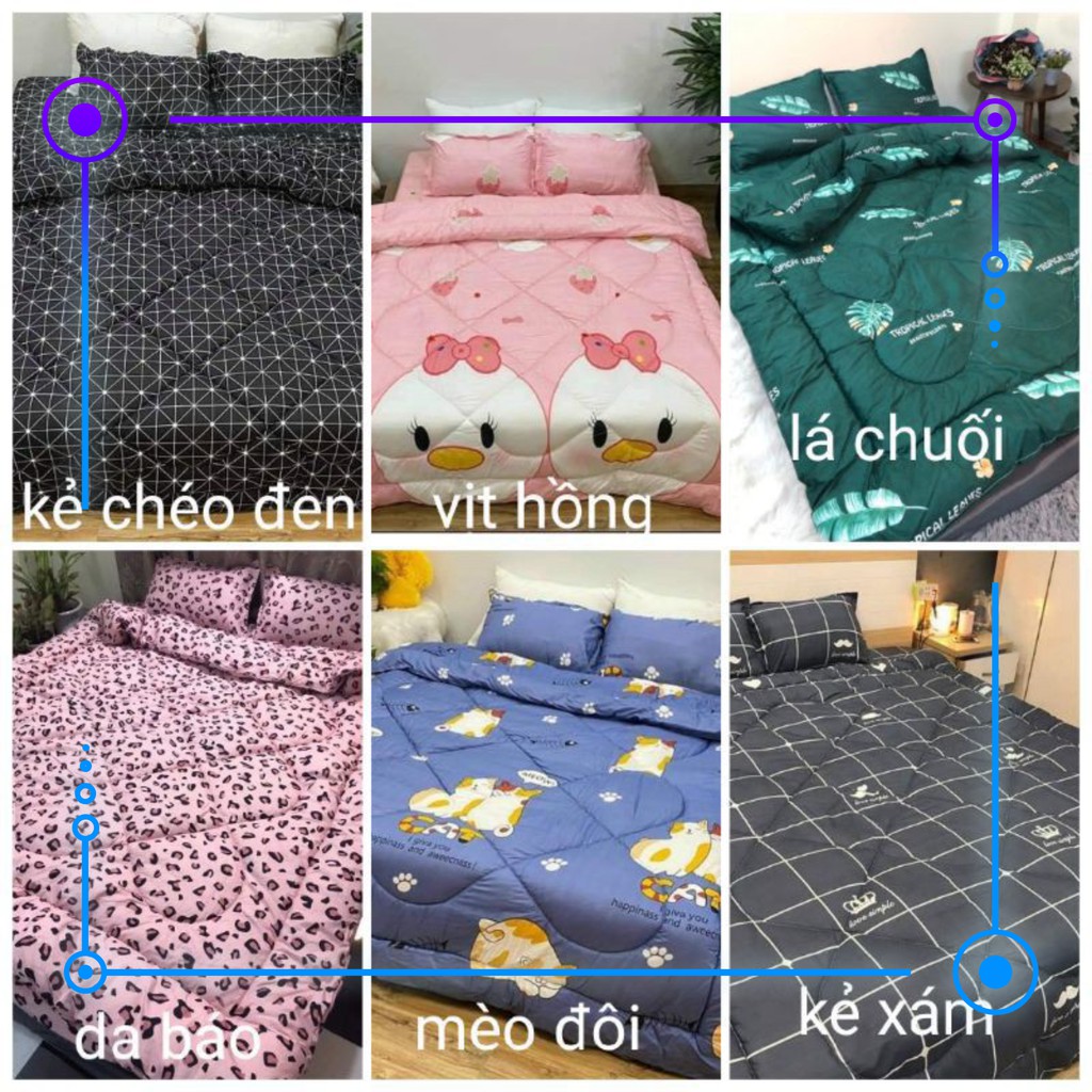 [Xả Lỗ] Bộ 5 Ga Gối Chăn Phao Trần Bông Dày Poly Cotton loại 1 Chăn Bông Như Hình Nhiều Mẫu Mới ( Nhắn Chọn Mẫu) FREESHI