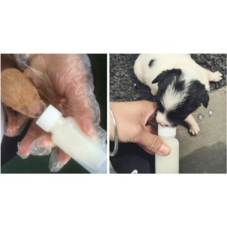 Bình Ti Bình Sữa Cho Chó Mèo Sơ Sinh