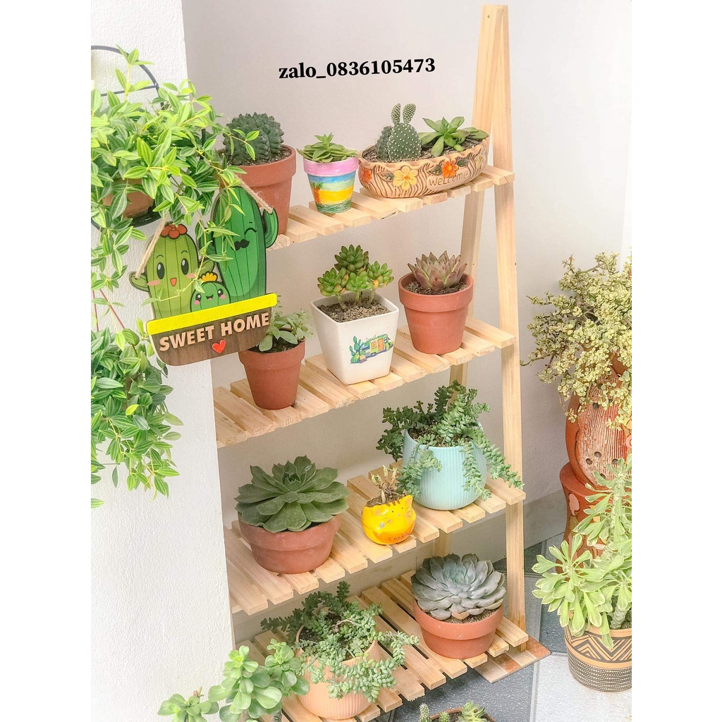 Kệ chữ A gỗ tự nhiên trang trí