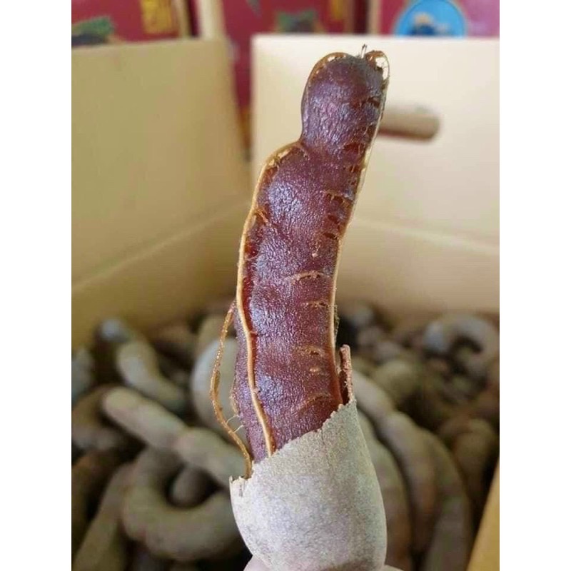 Me Sấy Khô 1kg Đặc Sản Đà Lạt Me Sấy Ngọt Thái Lan Loại 1