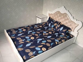 Ga chun poly và 2 vỏ gối SALE
