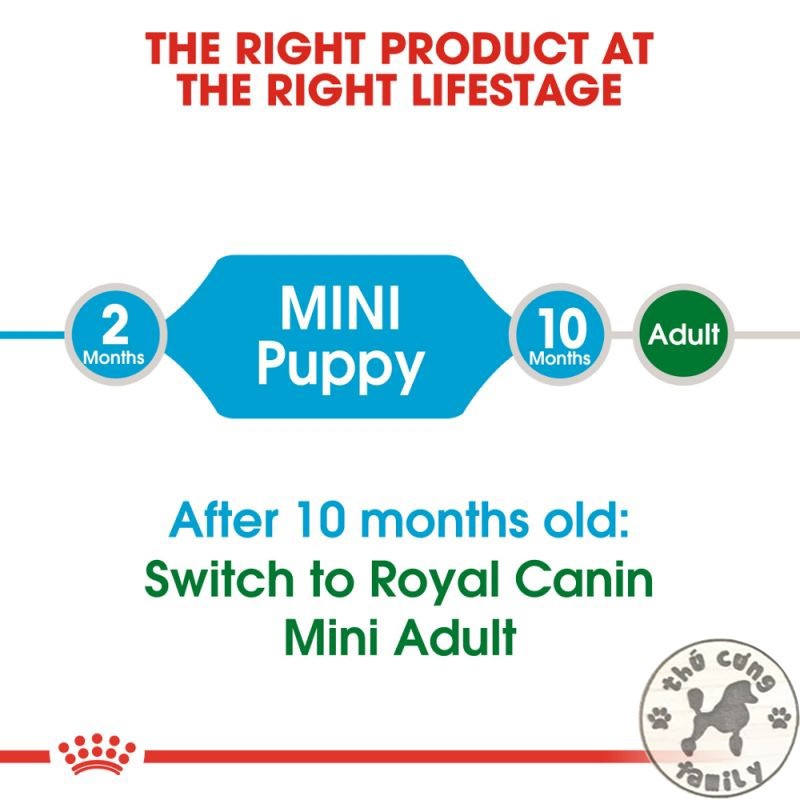 Thức ăn hạt Royal Canin Mini Puppy - 800gr