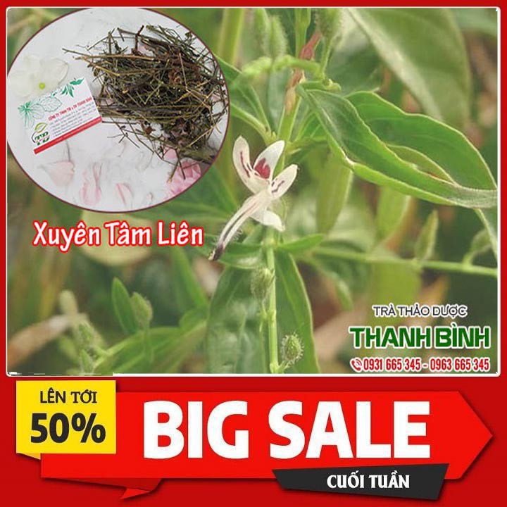 Xuyên Tâm Liên 500g - Hàng Sấy Khô Chất Lượng