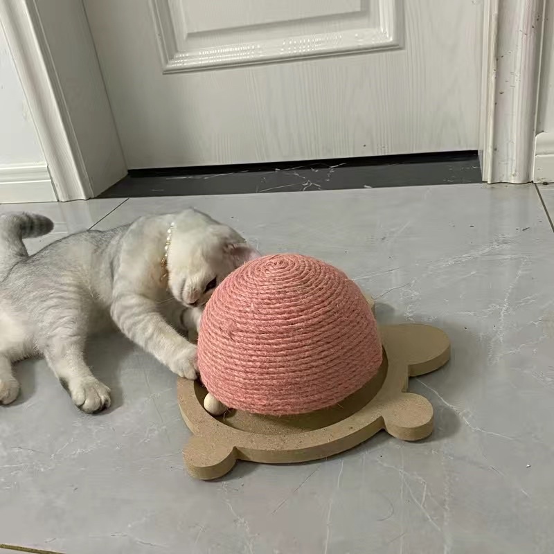 Cào móng hình con rùa cho mèo🐢