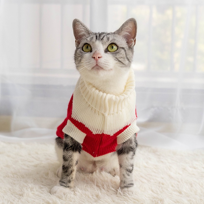 Áo Thun Len Cho Chó Mèo, Thú Cưng Style Hàn Quốc Kiểu Dáng Trendy