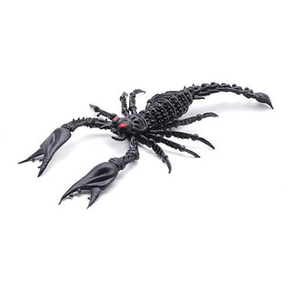 Đồ chơi con bọ cạp nhựa giải trí vui nhộn  shop bansigudetama
