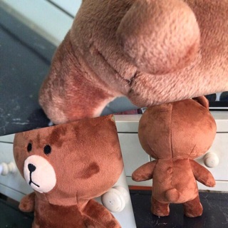 Gấu bông Brown và thỏ Cony
