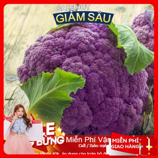 Hạt giống súp lơ tím - 10 hạt / gói