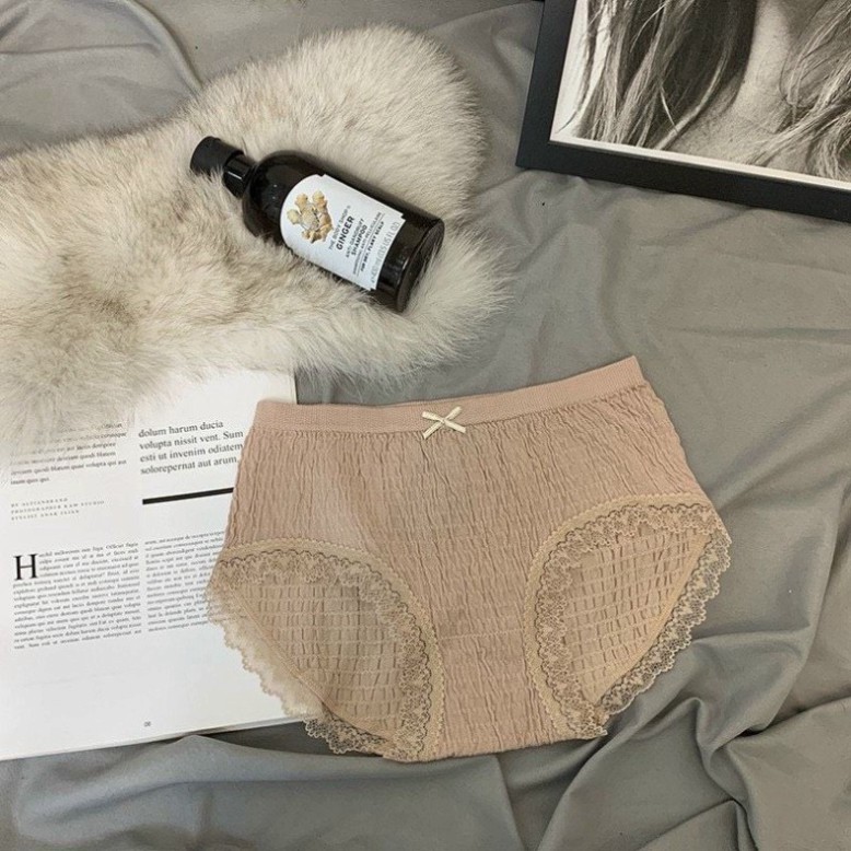 Quần lót cotton dệt kim nhún 85 , chất thun đẹp co giãn tốt