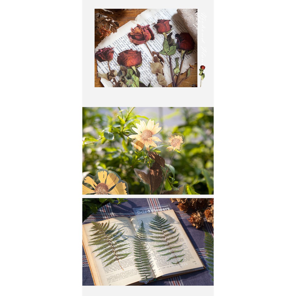 Set Sticker Hoa Lá Khô Dried Flowers ép nhựa PVC Hình Dán Hoa trang trí sổ bullet journal, planner, scrapbook